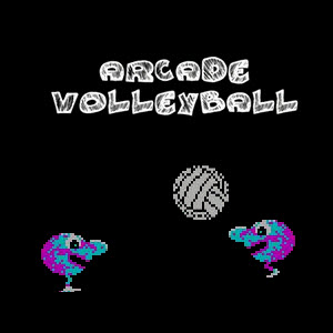 Arcade Volleyball