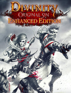 Divinity Original Sin