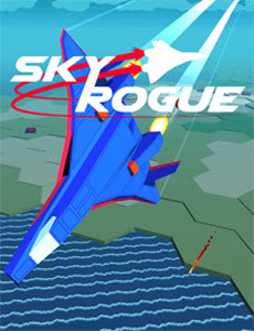 Sky Rogue